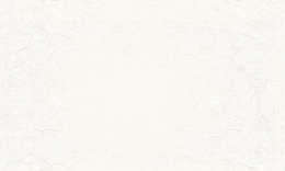 2017新年年会底纹背景