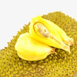 海南黄肉菠萝蜜