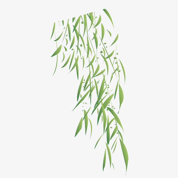 绿色柳树叶装饰背景