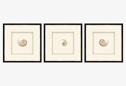 手绘装饰画图片 蜗牛装饰画