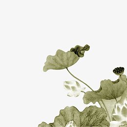 手绘水墨荷花