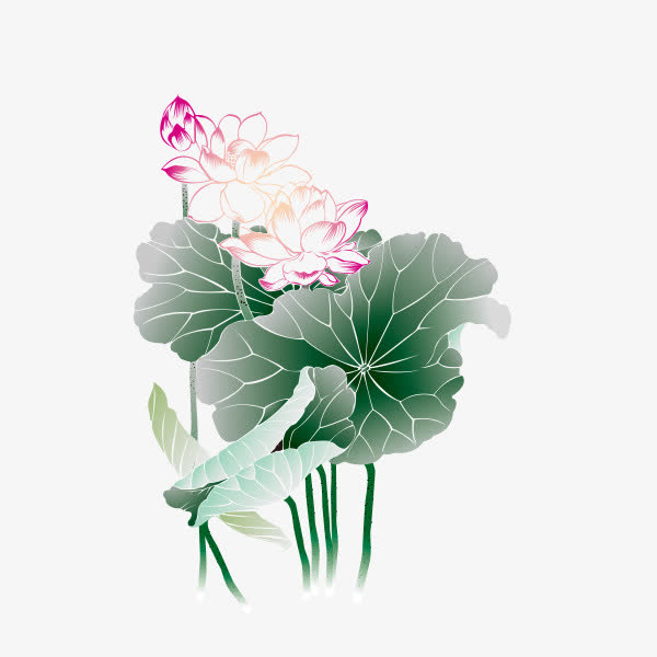 荷花荷叶素材免费下载_觅元素