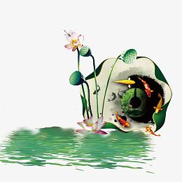水墨荷花鱼