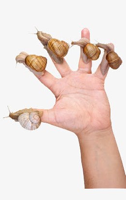 正在蜗牛治疗手