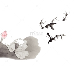 墨水鱼与荷花图片素材