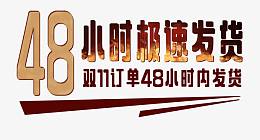 双11订单极速发货艺术字