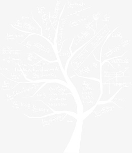 创意数学方程式树图片