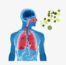 细菌如何进入人体