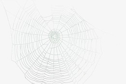 碎屏裂纹