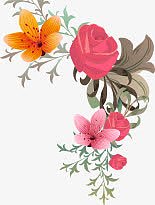 粉色玫瑰花
