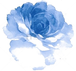蓝色水彩花