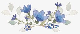 淡雅蓝色水彩花