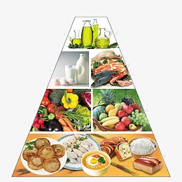 食物金字塔