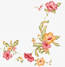 水彩花