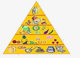 食物金字塔