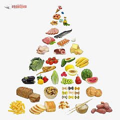 食品金字塔