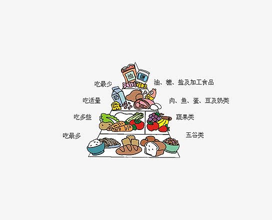 食物金字塔