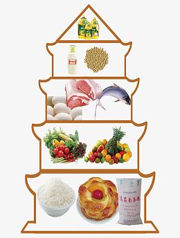 现代合理膳食