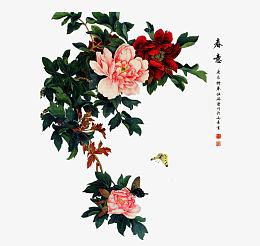 国画牡丹