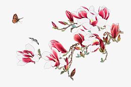 国画花