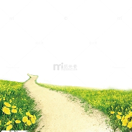 乡间小路草地