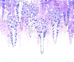 紫藤花丛图片素材