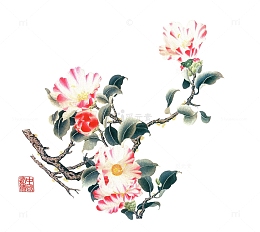 国画花卉