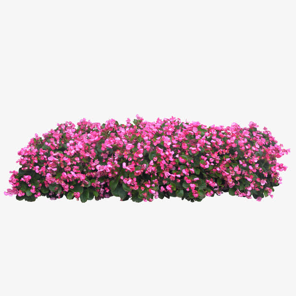 关键词 : 绿色植物,园林,花草,绿叶,花丛,绿化装饰[声明] 觅元素所有