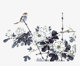 国画花鸟