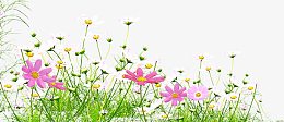 花丛