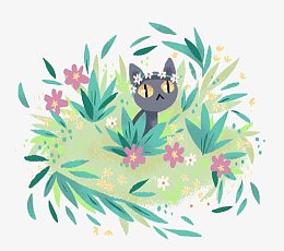 草丛小猫