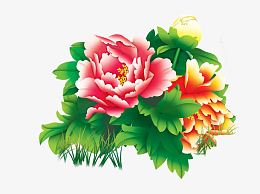 国画牡丹