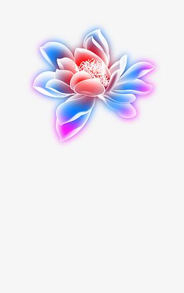 国画花鸟