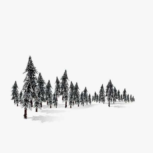 下雪的树林