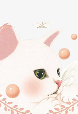 粉色猫咪壁纸