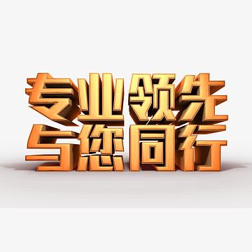专业领先与您同行立体艺术字