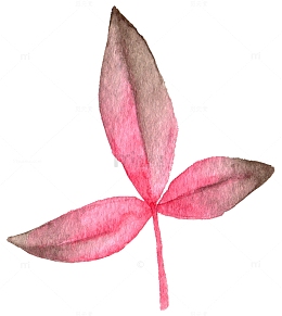 童话水墨手绘植物花卉