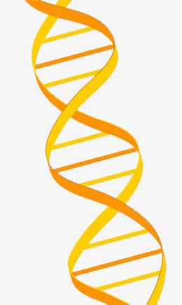 dna双螺旋设计元素_dna双螺旋免抠素材_觅元素51yuansu.com