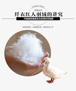 白鸭绒文字排版