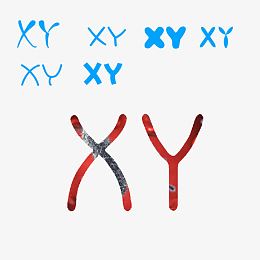 无创XY高清免扣素材