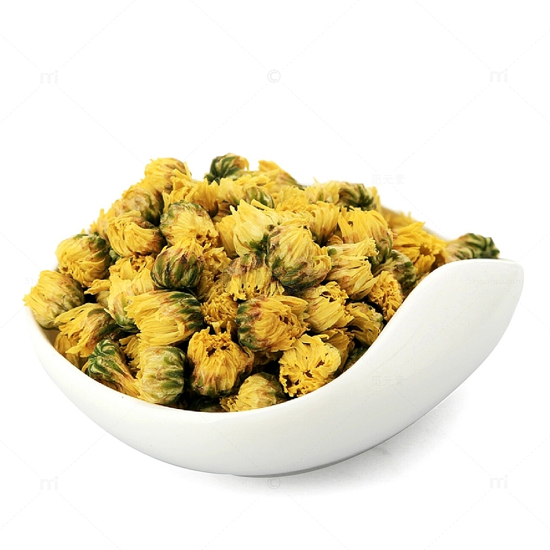 杭白菊PNG素材