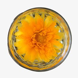 大朵的菊花