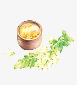 手绘桂花茶