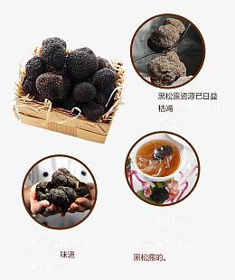 黑松露详情页说明