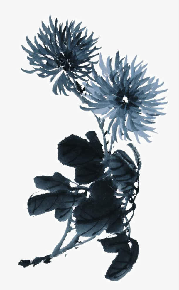 写意菊花素材免费下载_觅元素