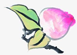 手绘寿桃