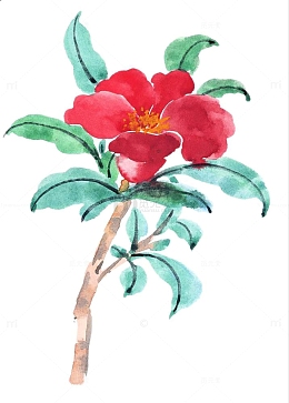 彩墨石榴花