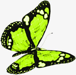 绿色卡通蝴蝶设计装饰