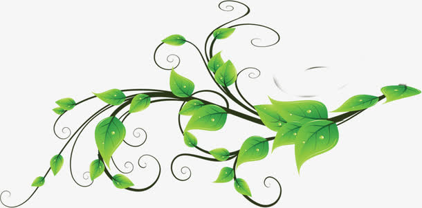 绿色清新卡通树藤