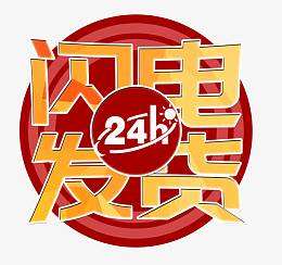 24H闪电发货艺术字图标